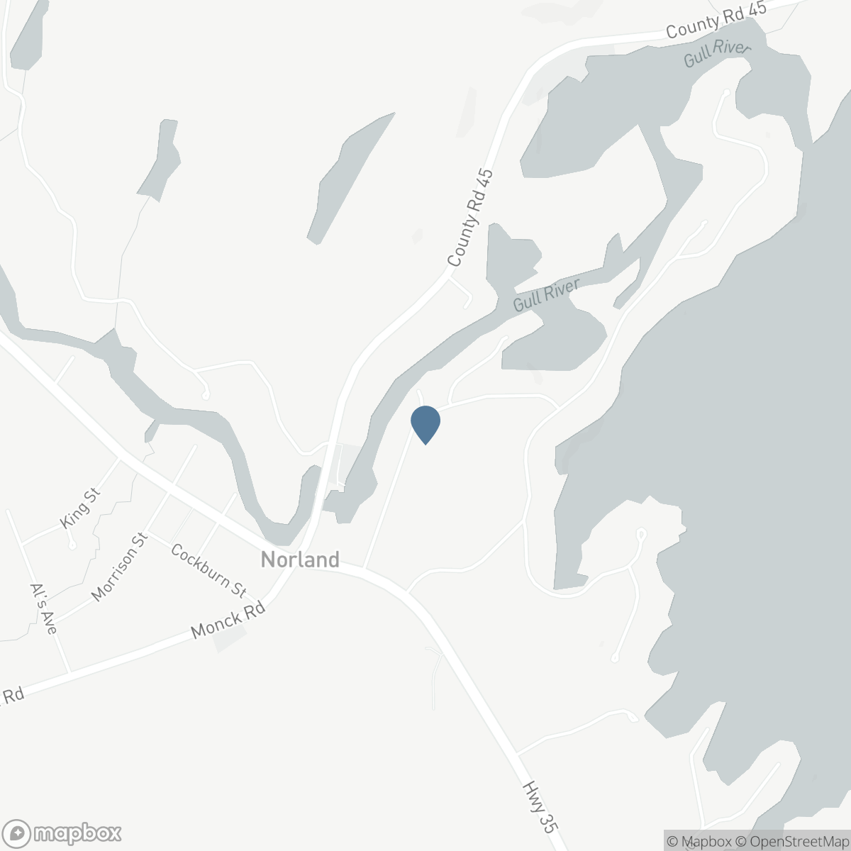 0 GOVERNMENT DOCK ROAD, Coboconk, Ontario K0M 2L0